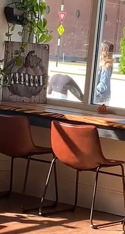 Filmer Inside Coffee Shop Zooms Towards