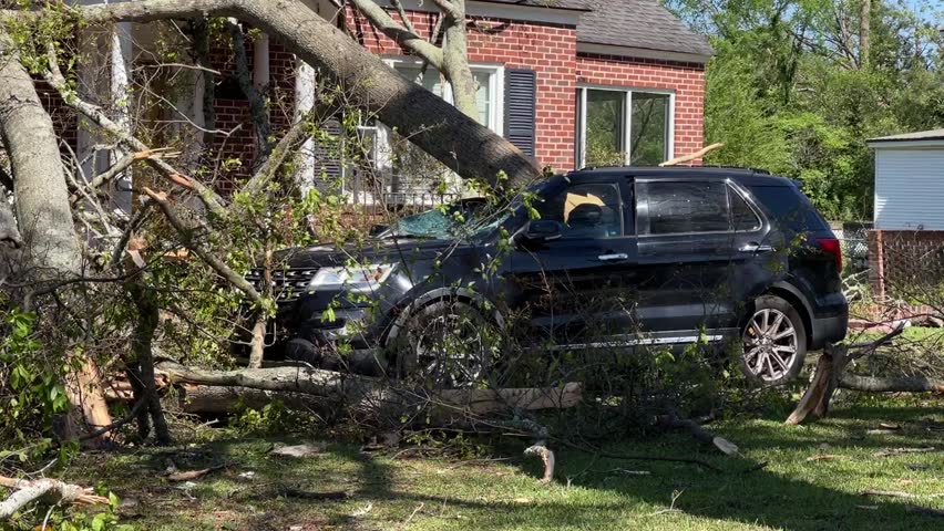 Tornado Damage Cochran Gabrmassive Tree Limbs | Editorial Video ...